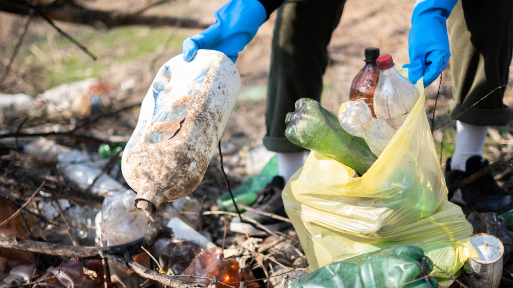 Waste Management & Recycling Solutions